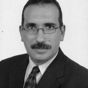 Dr Adel Amer
